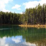 Der Herbert Lake am Icefields Parkway in der Nachmittagssonne