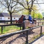 Ponyreiten im Jyllands Park Zoo