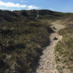 Der Weg zum Strand in Sondervig