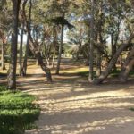 Zugang zum Strand vom North Beach Campground in Pismo Beach