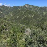 Die Landschaft entlang der Nacimiento-Fergusson Road