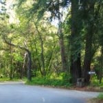 Fahrt über den Pfeiffer Big Sur State Park Campground in Kalifornien