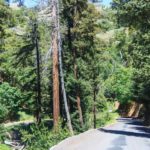 Schmale, kurvige Nacimiento-Fergusson Road