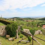 Blick auf den Stiftsgarten in Saint-Bonnet-le-Château in Frankreich