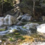Bach im Pfeiffer Big Sur State Park