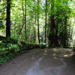 Ein Waldweg im Lighthouse Park in Vancouver