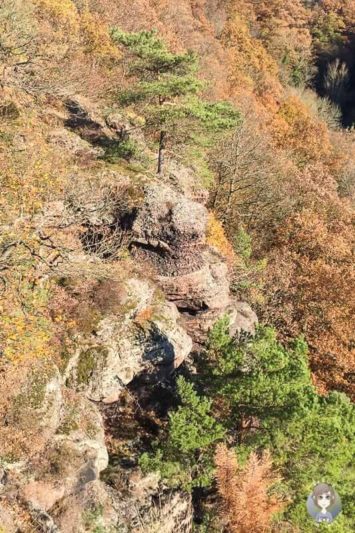 Buntsandsteinfelsen in Nideggen beim Wandern