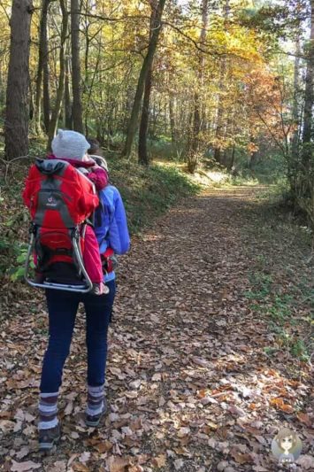 Wandern in Nideggen über zu den Buntsandsteinfelsen
