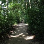 Wanderung durch den Nationalpark Cahuita