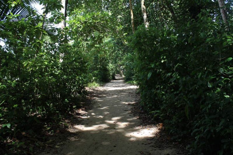 Wanderung durch den Nationalpark Cahuita