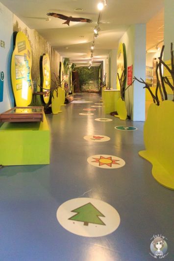 Die interaktive Ausstellung im Visionarium Diemelsee