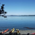 Eine Tour mit North Island Kayak auf Vancouver Island