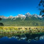 Besuch der Mirror Lakes auf einer Neuseeland Reise von 4 Wochen