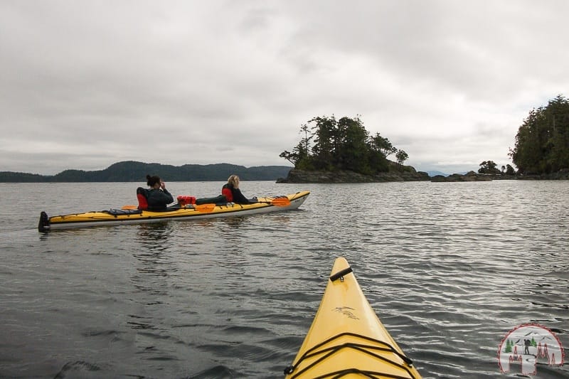 Orca Watching in Telegraph Cove im Kayak