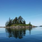 Orca Watching auf Vancouver Island