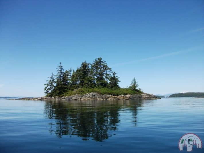 Orca Watching auf Vancouver Island