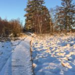 Schöne Wanderung durch den Schnee am Mont Rigi