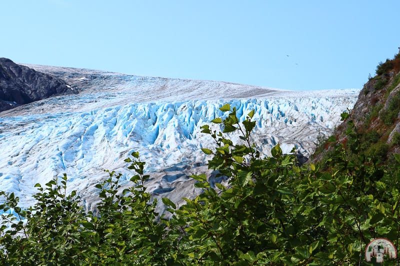 Exit Glacier Teil des Harding Icefields nahe Seward Alaska
