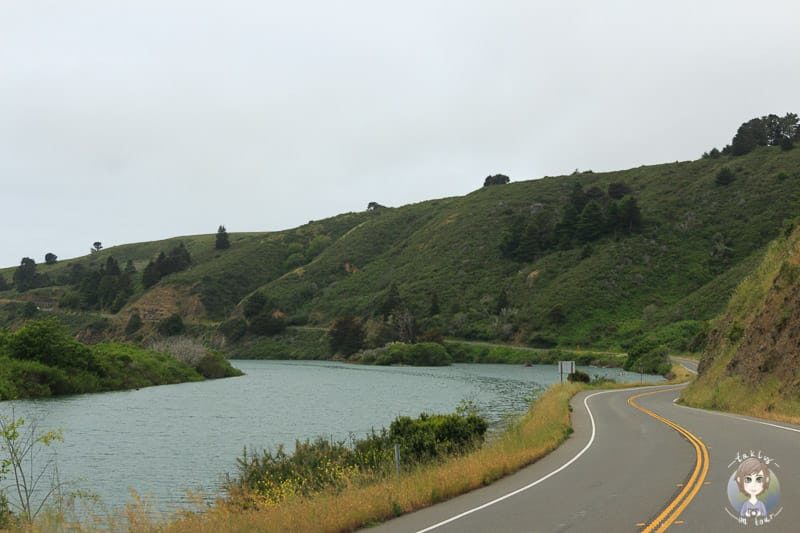Abwechslungsreiche Landschaft am Coast Highway 1