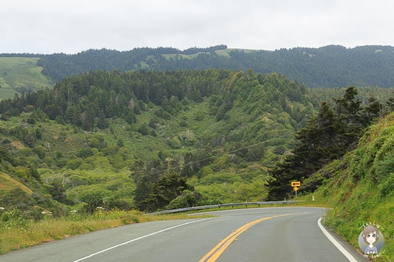 Wilde, grüne Landschaft am Coast Highway 1