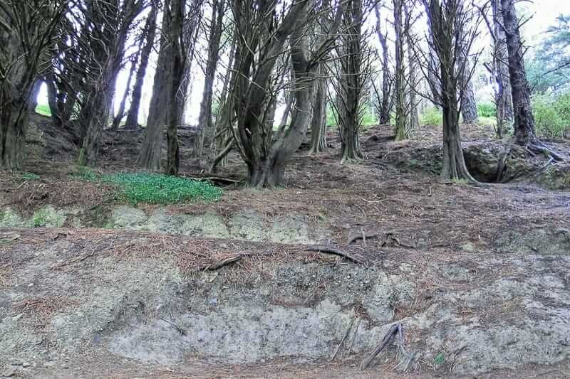 Wellington als Herr der Ringe Drehorte