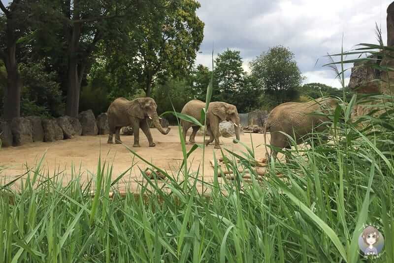 Rheinlandcard Zoo Wuppertal