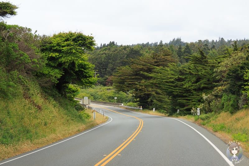 Wilde Landschafte entlang vom Coast Highway