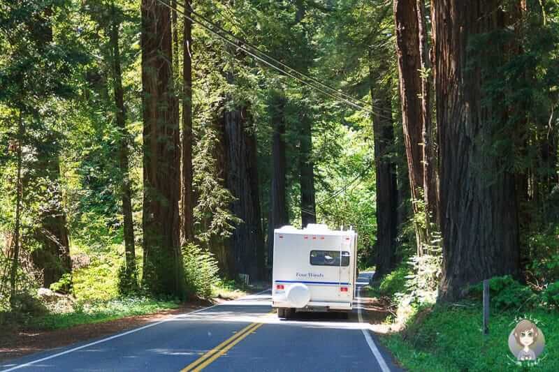 Ein Wohnmobil im Humboldt Redwood State Park