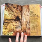 Fotos im Reisehandbuch Baedeker