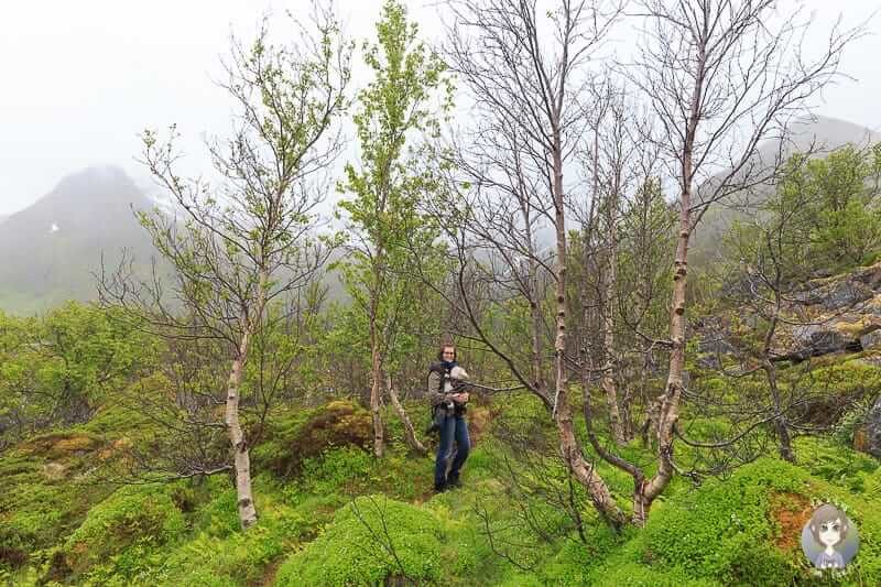 Wandern bei Regenwetter