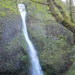 Oregon Roadtrip zu den Horsetail Falls