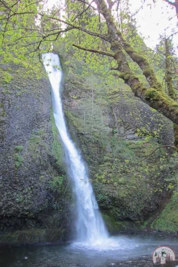 Oregon Roadtrip zu den Horsetail Falls