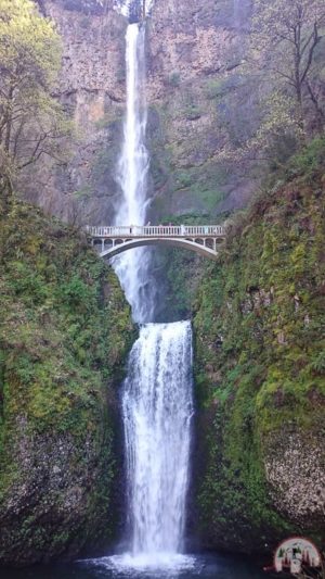 Besuch der Multnomah Falls auf Oregon Roadtrip