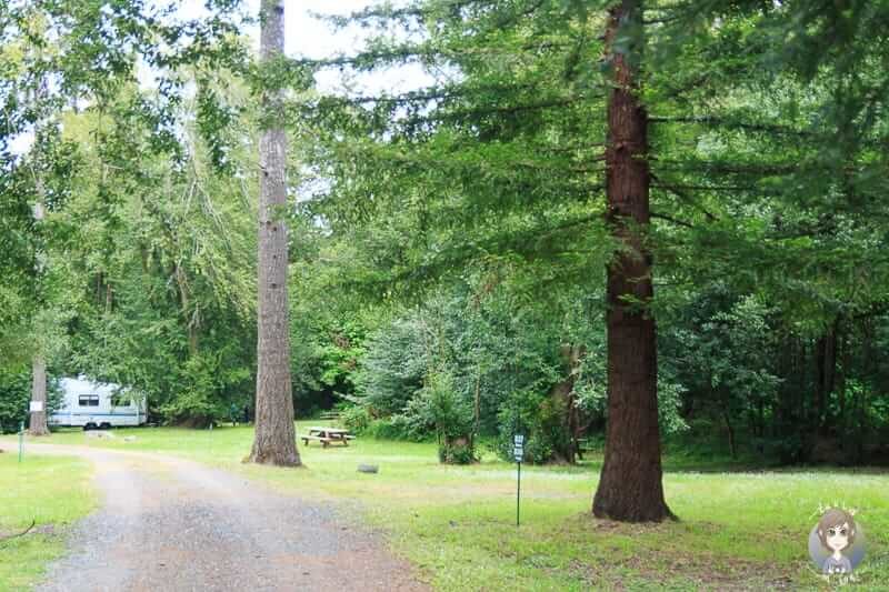Hunstley Park Campground in Oregon