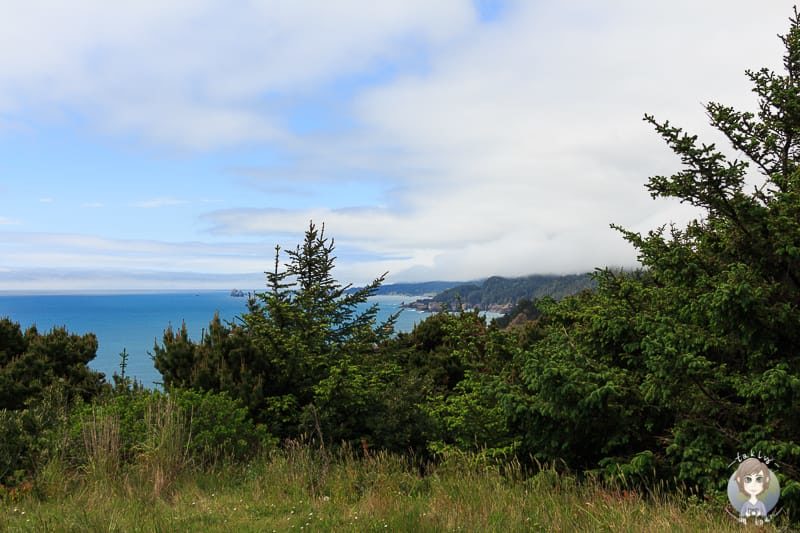 Indian Sands Viewpoint am Samuel Boardman Scenic Corridor