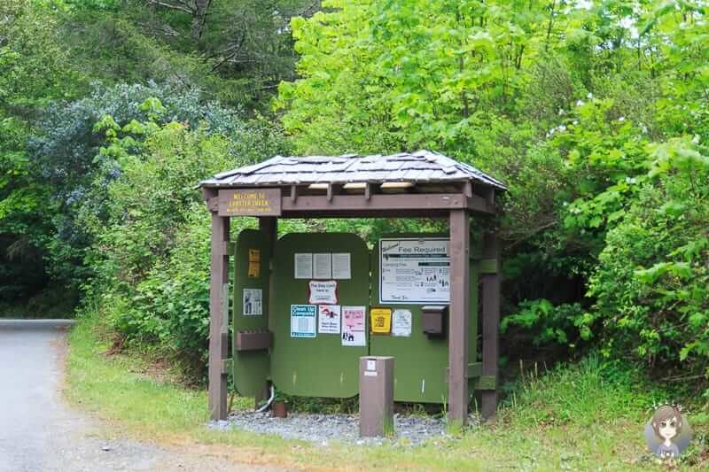 Lobster Creek Forest Campground