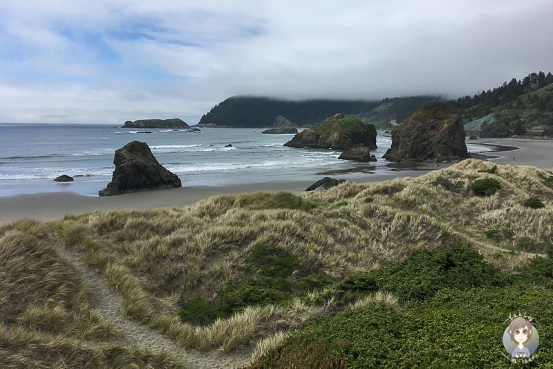 Meyers Creek Beach am Samuel Boardman Scenic Drive