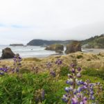 Meyers Creek Beach Viewpoint in Oregon