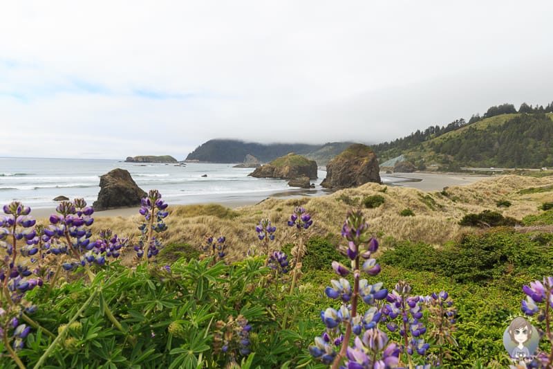 Meyers Creek Beach Viewpoint in Oregon
