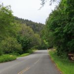 Fahrt durch den National Forest