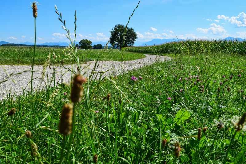 Reiseziele Deutschland als Sommerurlaub im Chiemgau