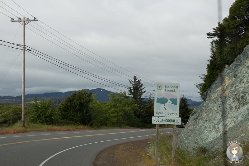 Scenic Byway in Gold Beach