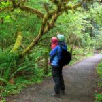 Redwood - Wald erkunden mit Kind