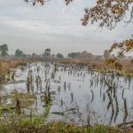 Venner Moor in Niedersachsen eines der Reiseziele in Deutschland