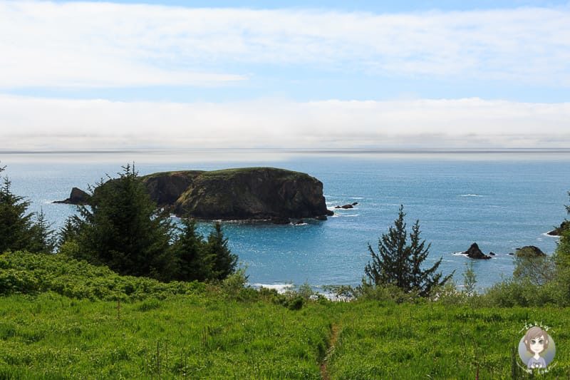 Whaleshead Viewpoint in Oregon