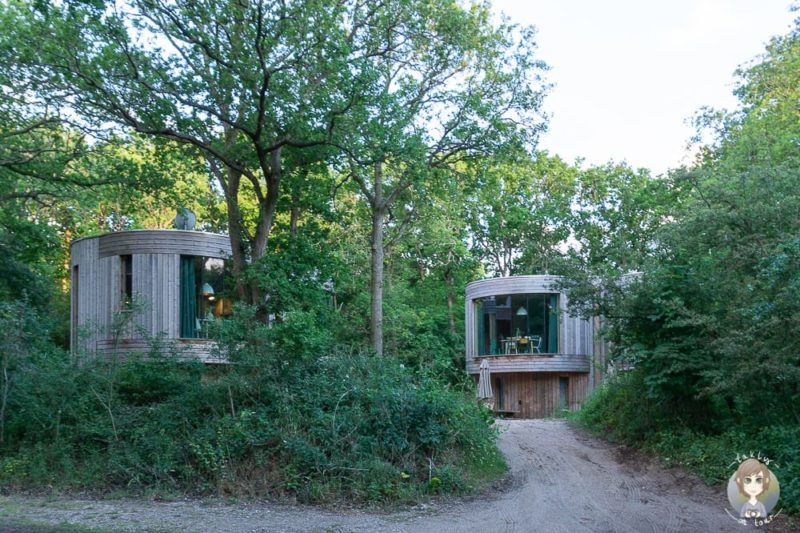 Baumhäuser für einen Urlaub in Nordholland auf dem Campingplatz Geversduin