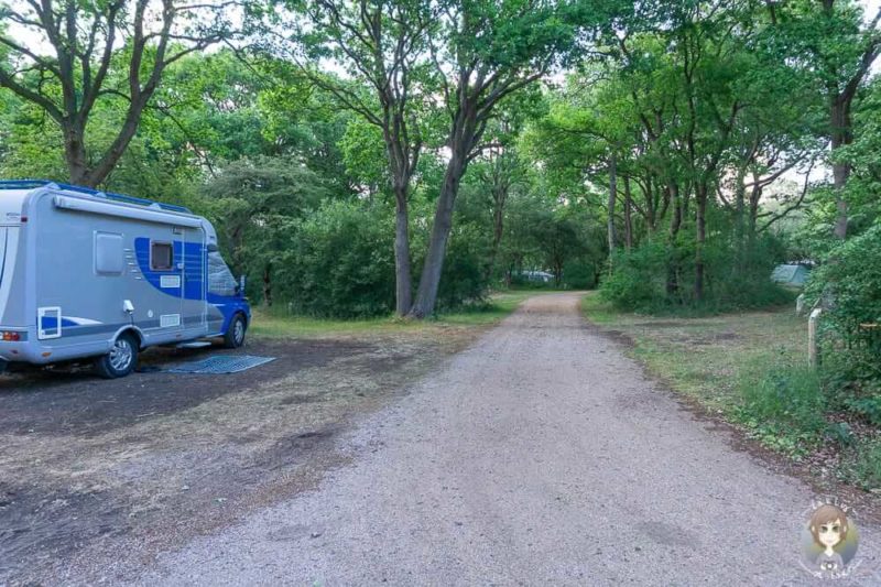 Feriencamper auf dem Camping Geversduin beim Urlaub in Nordholland