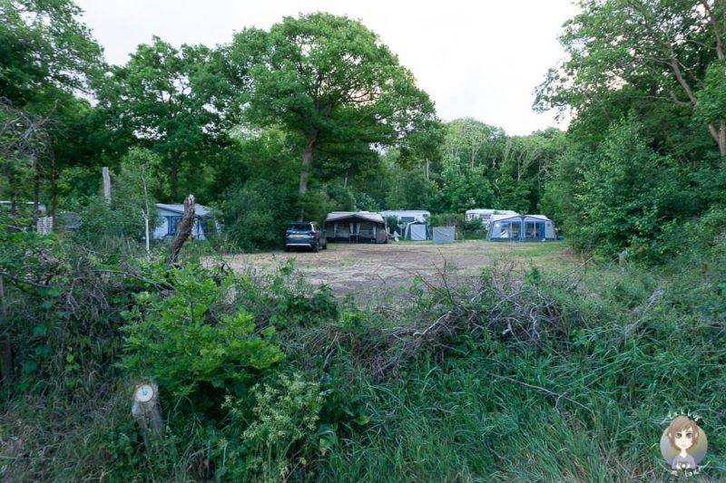 Naturnahes Camping in Nordholland