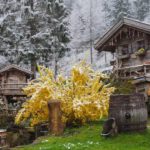 Reiseziele in Deutschland Tipp Bade Alm im Schwarzwald