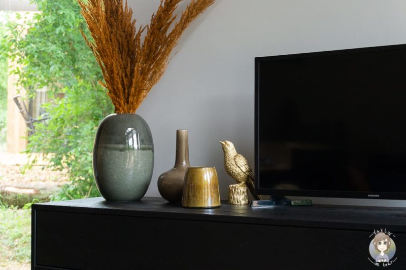Fernseh im Duin Kebbin im Urlaub in Nordholland